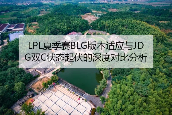 LPL夏季赛BLG版本适应与JDG双C状态起伏的深度对比分析