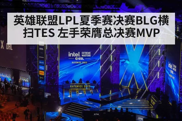 英雄联盟LPL夏季赛决赛BLG横扫TES 左手荣膺总决赛MVP